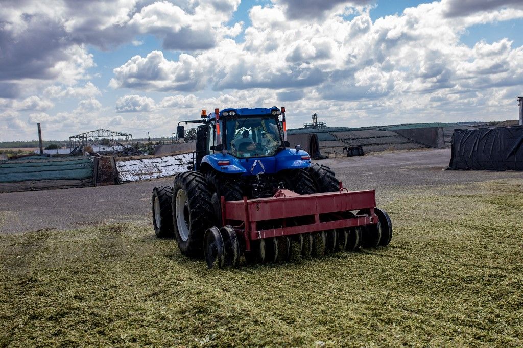 Persistent attacks devastate Kharkiv farm, killing over 400 cows and disrupting regional agriculture