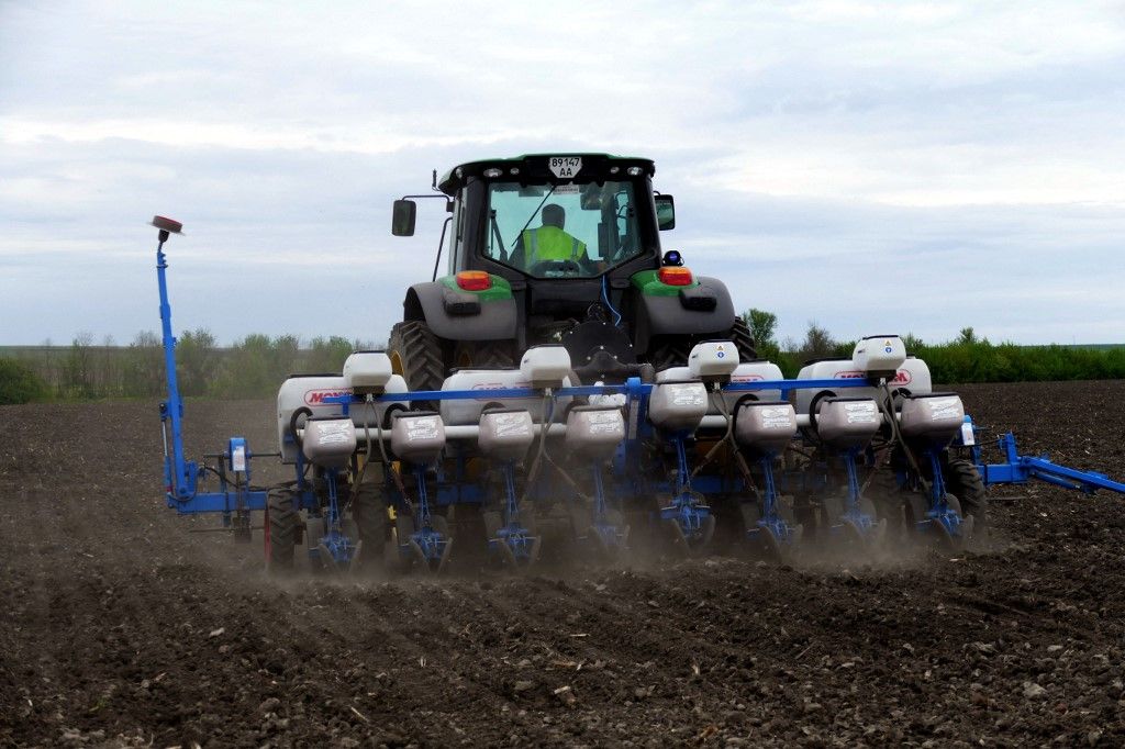 Sowing sunflower and corn, kukorica, napraforgó