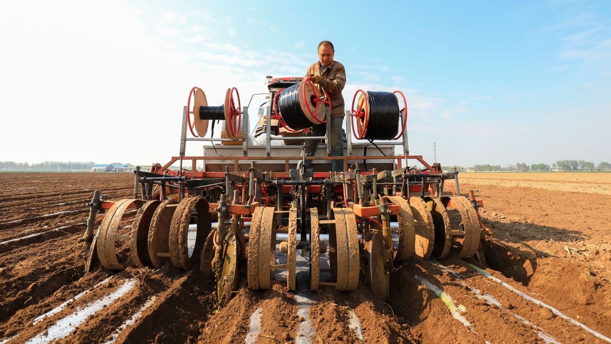Kína,Luannan,County,,China,-,April,26,,2021:,Farmers,Install,Drip