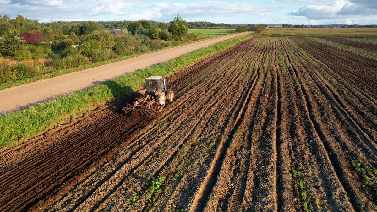 Tactor,With,Disk,Harrow,On,Plowing,Field.,Cultivated,Land,And, termőföldek