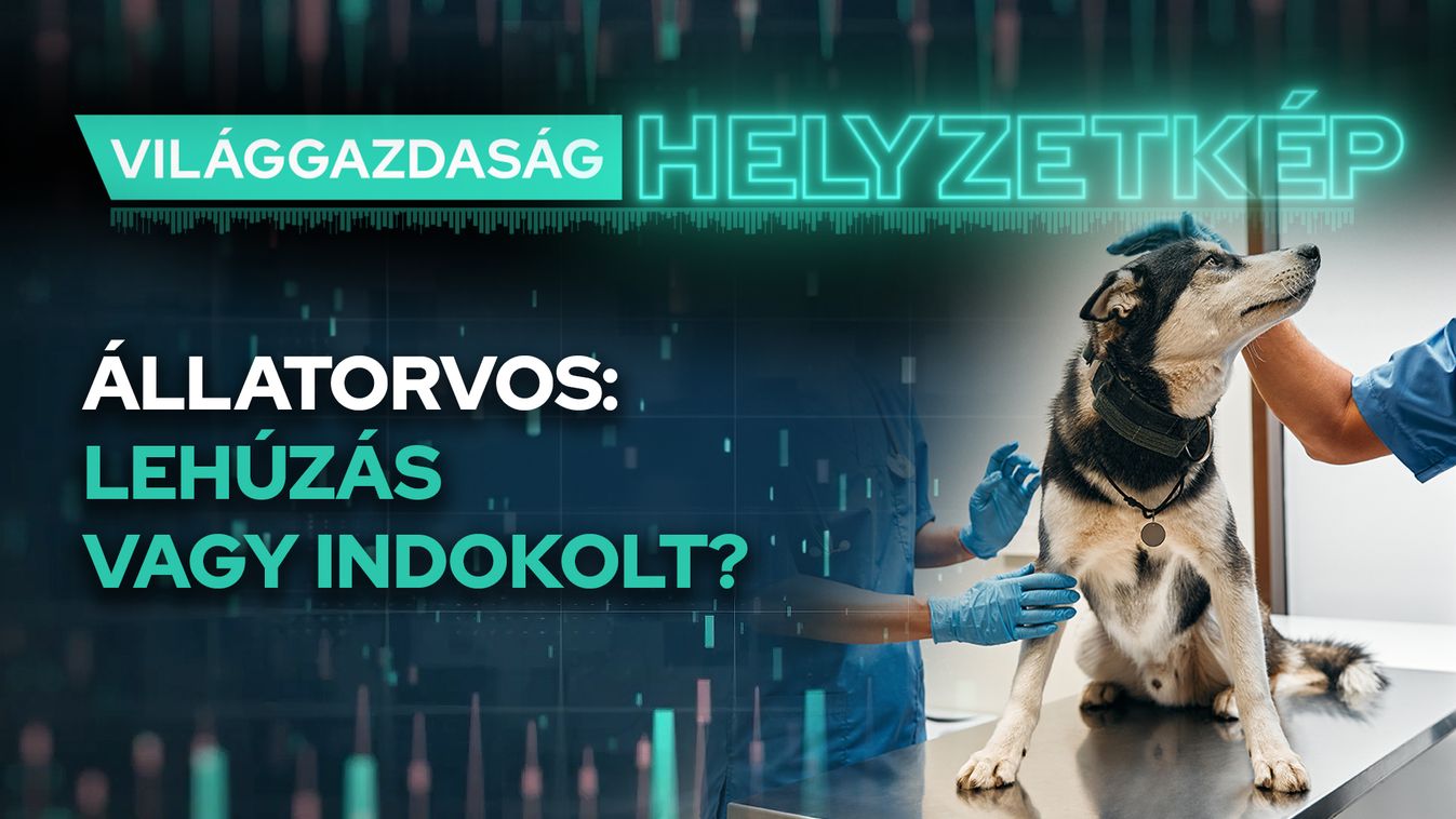 állatorvos