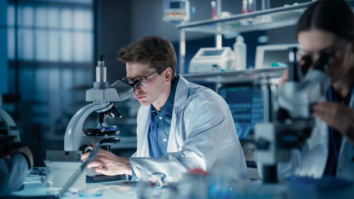Magyarország összeszerelő-üzem:  itt a végső érv – bejelentették a gazdasági dimenzióváltást,  a technológiai forradalom élén járhat hazánk 