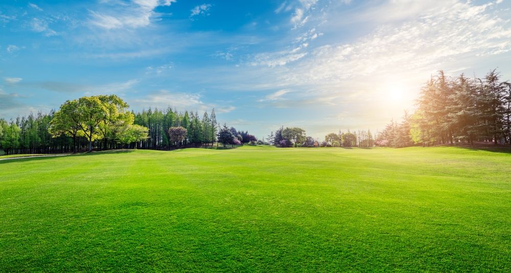 Vibrant,Green,Lawn,And,Trees,Natural,Landscape,In,Summer
nyár, napsütés, időjárás