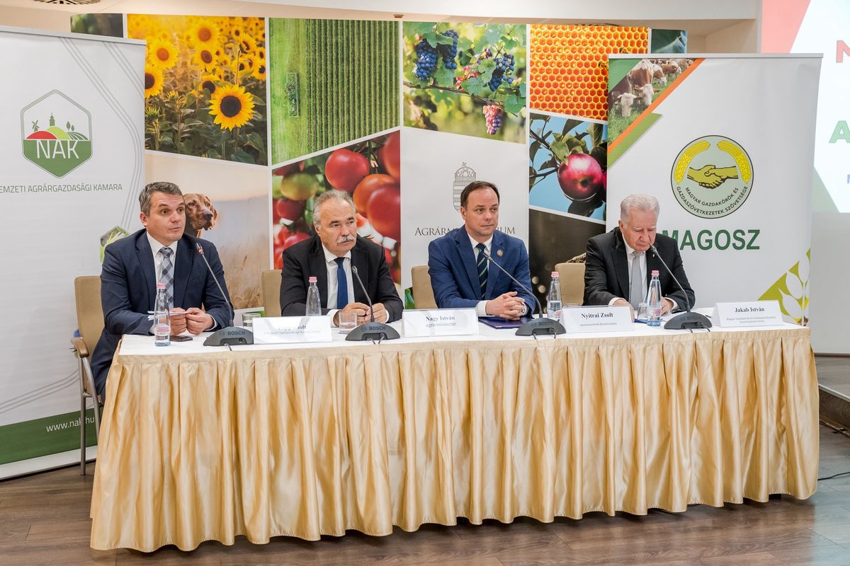gazdatüntetés, Nagy István, Papp Zsilt, Jakab István