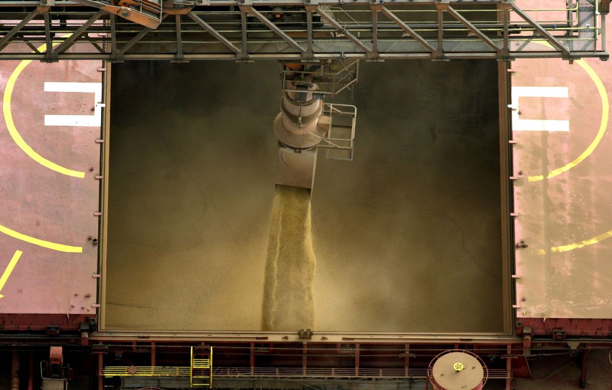 FILE PHOTO OF SOYBEAN CROP LOADED ON A SHIP IN PARANAGUA PORT IN
BRAZIL.