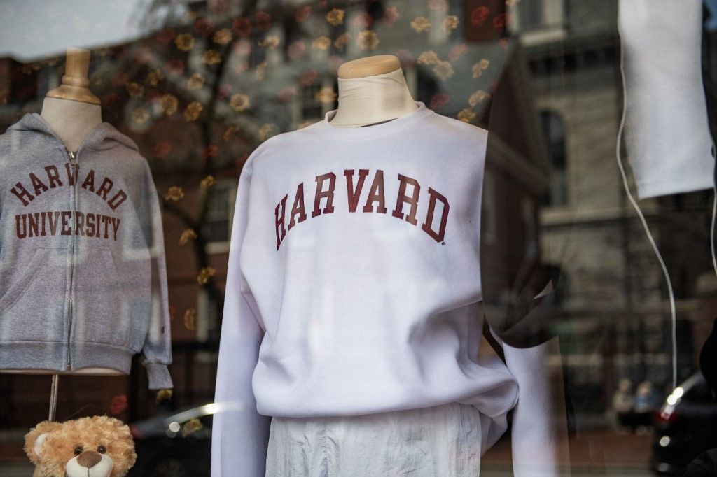 gyakornok, harvard, 