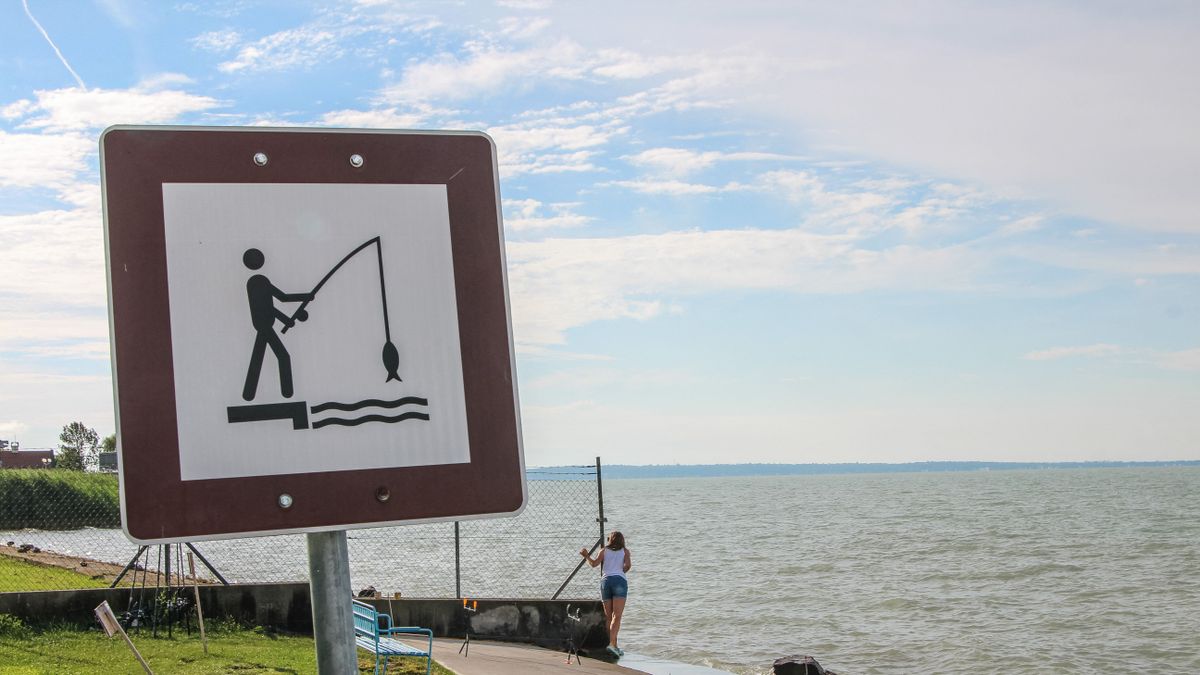 Daily Life In Balatonkenese horgász app