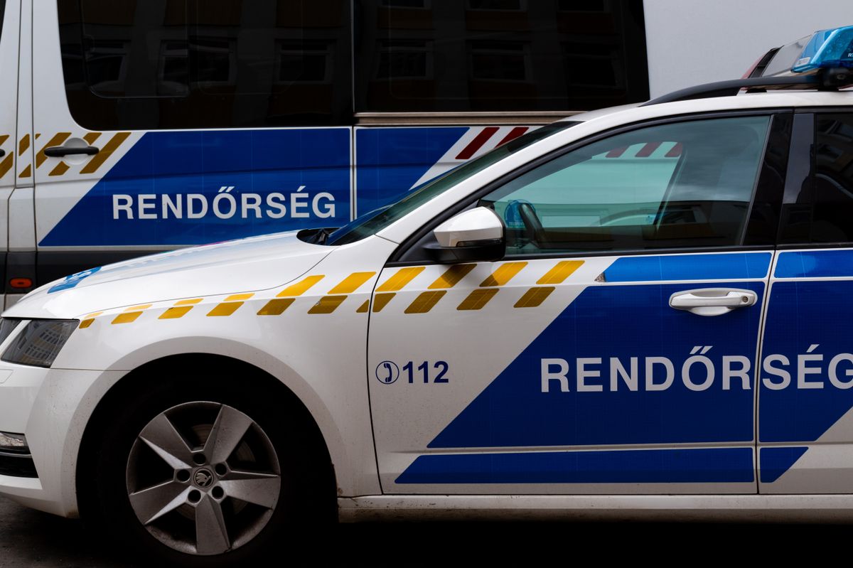rendőrség, rendőrautó, rendőr