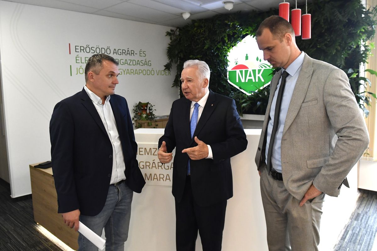 Ukrajna EU-csatlakozása, CSEH Tibor András; PAPP Zsolt György; JAKAB István