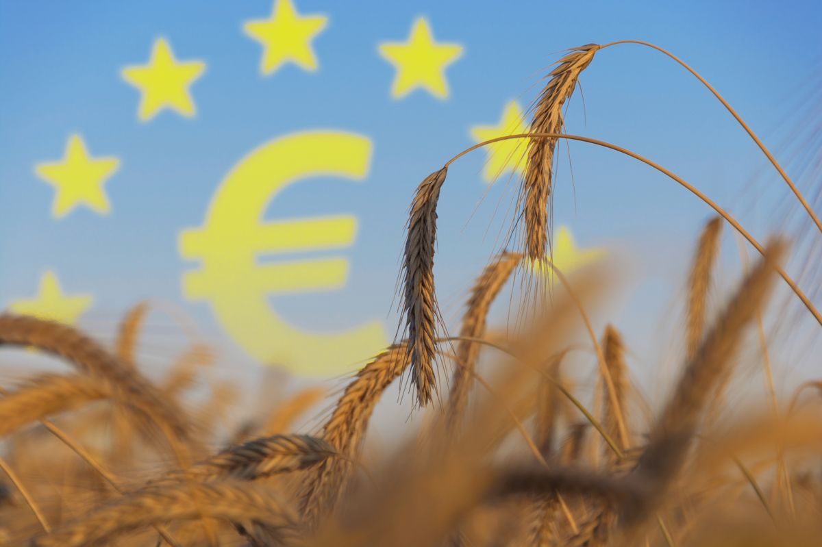 Közös Agrárpolitika, Agriculture,Subsidies,In,Europe,Illustration