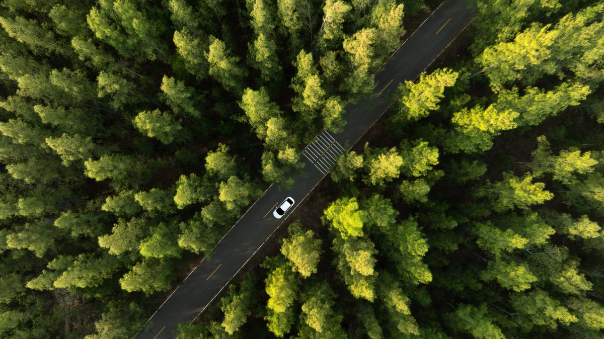 Top,View,Of,A,White,Electric,Car,Driving,Dark,Green