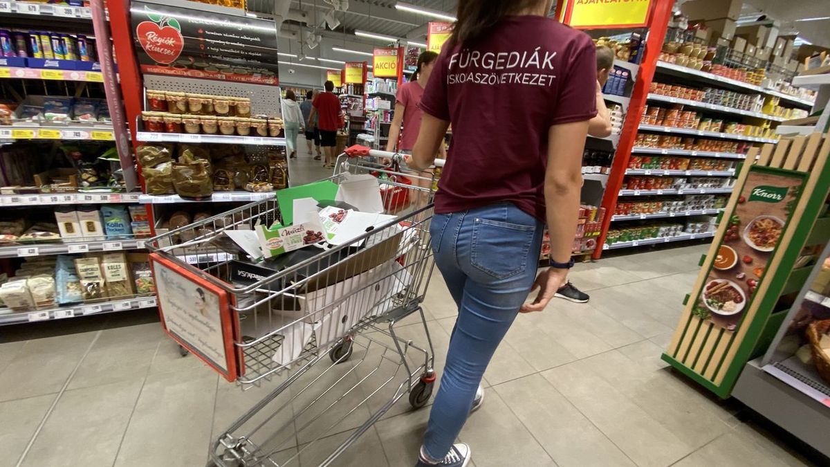 fürge diák, diákszövetkezet, diákmunkás, diákmunka