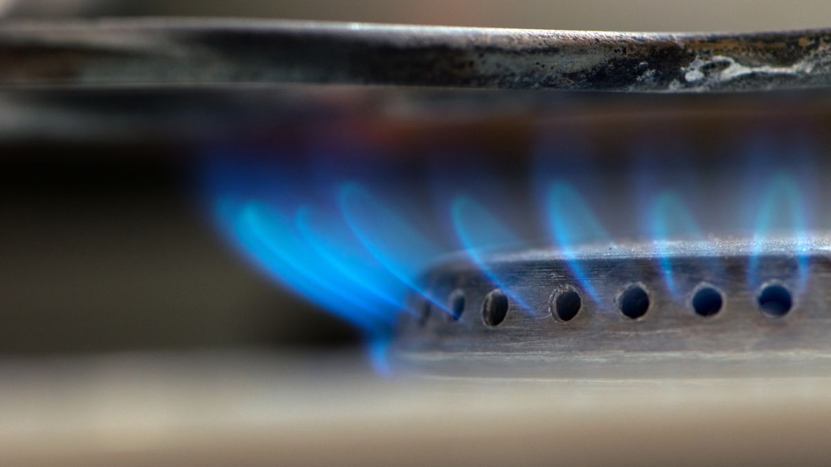 Burning,Gas,Stove.,Blue,Flame,Close-up.,Blue,Fire,Burns,Natural