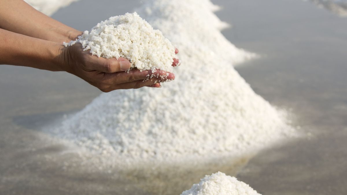 magyar Salt,Collecting,In,Salt,Farm, só, sóbánya