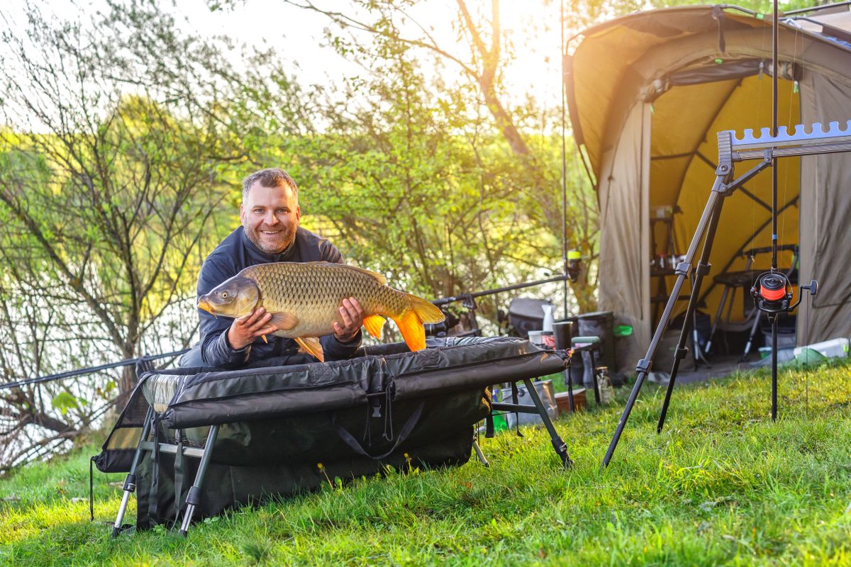 hal Carpfishing,Session,At,The,Lake.lucky,Fisherman,Holding,A,Giant,Common