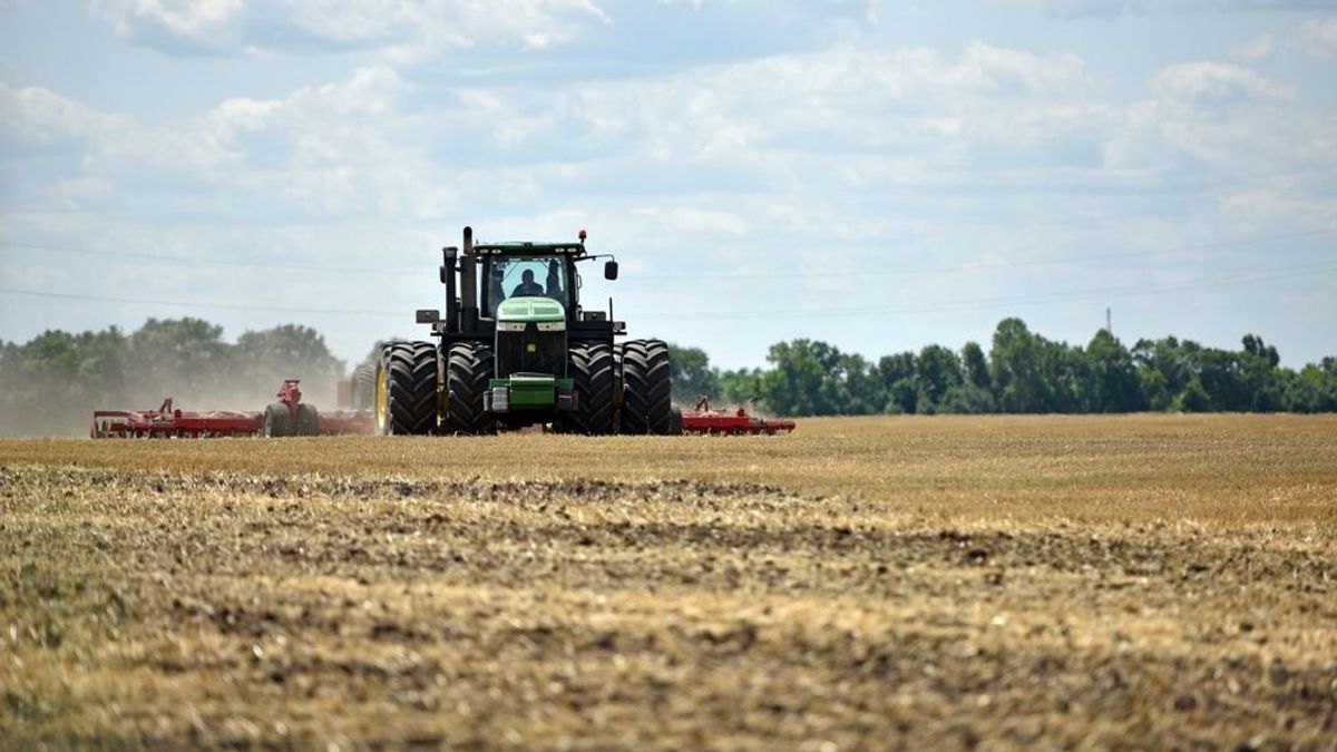 Brüsszelt legyőzték a gazdák, mégis ők veszíthetnek – hiába a győztes harc, hosszú távon csorbul a gazdálkodók érdeke 