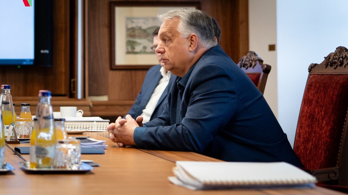 Orbán védelmi tanács