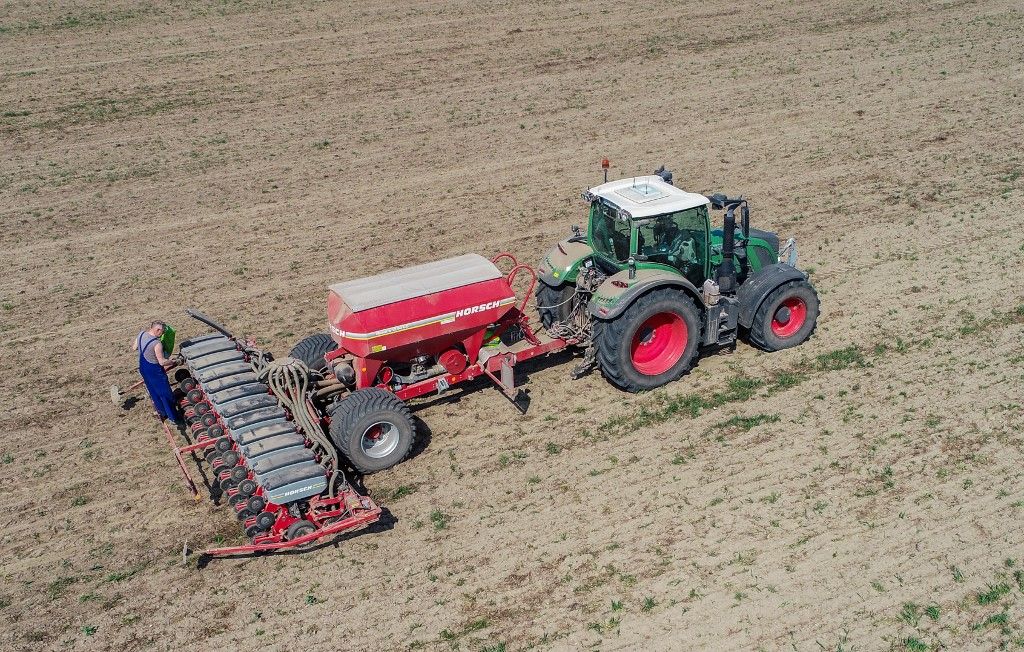 Planting sunflower seeds, vetőmag, új program, támogatás