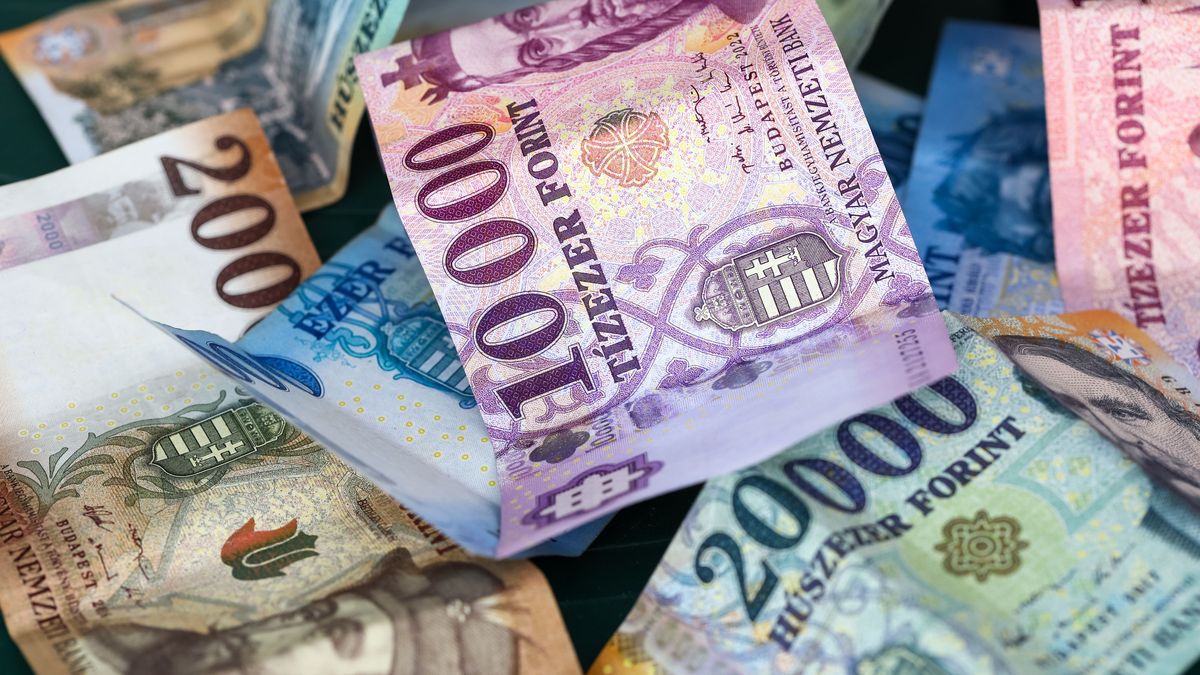 forint, pénz, tízezer forint