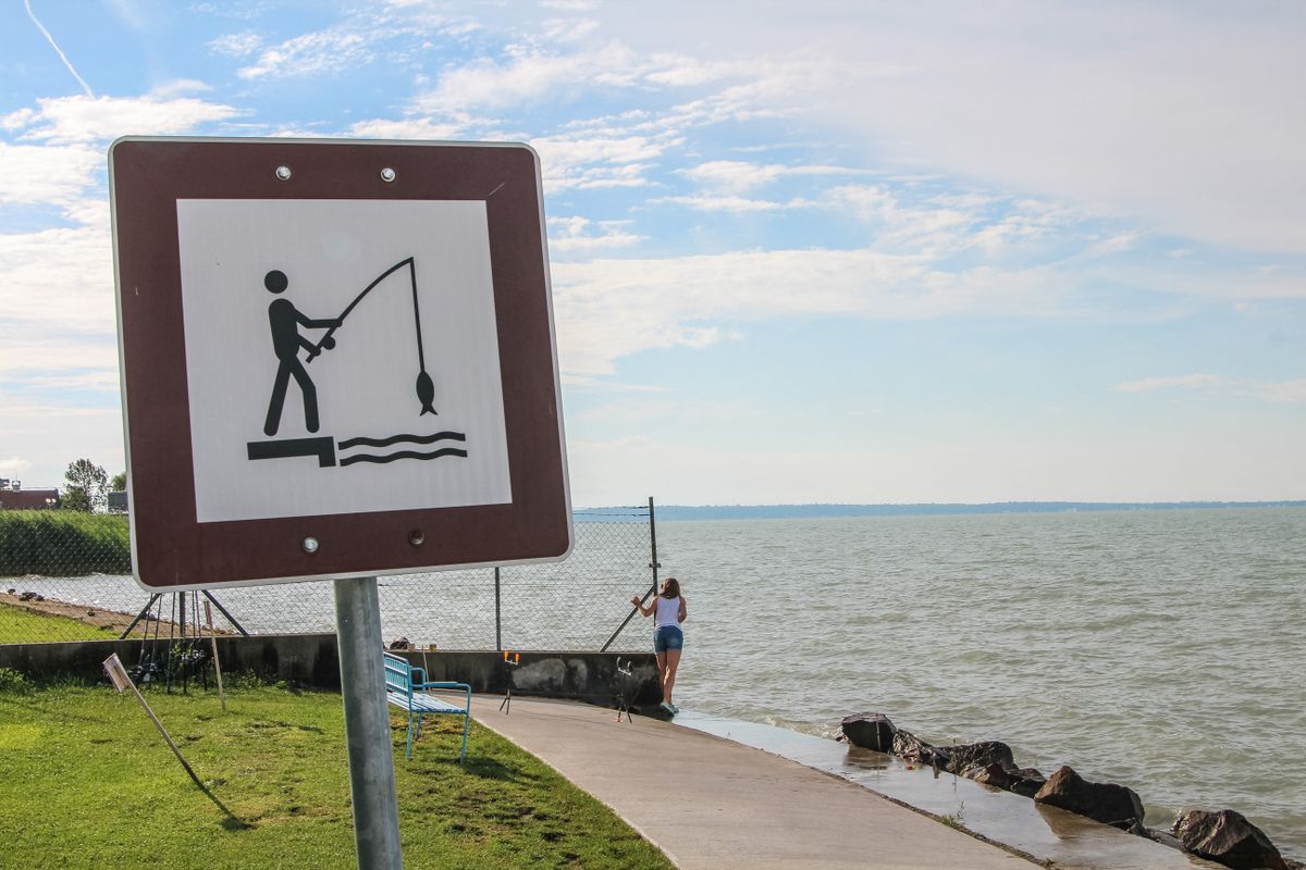 Daily Life In Balatonkenese horgász app