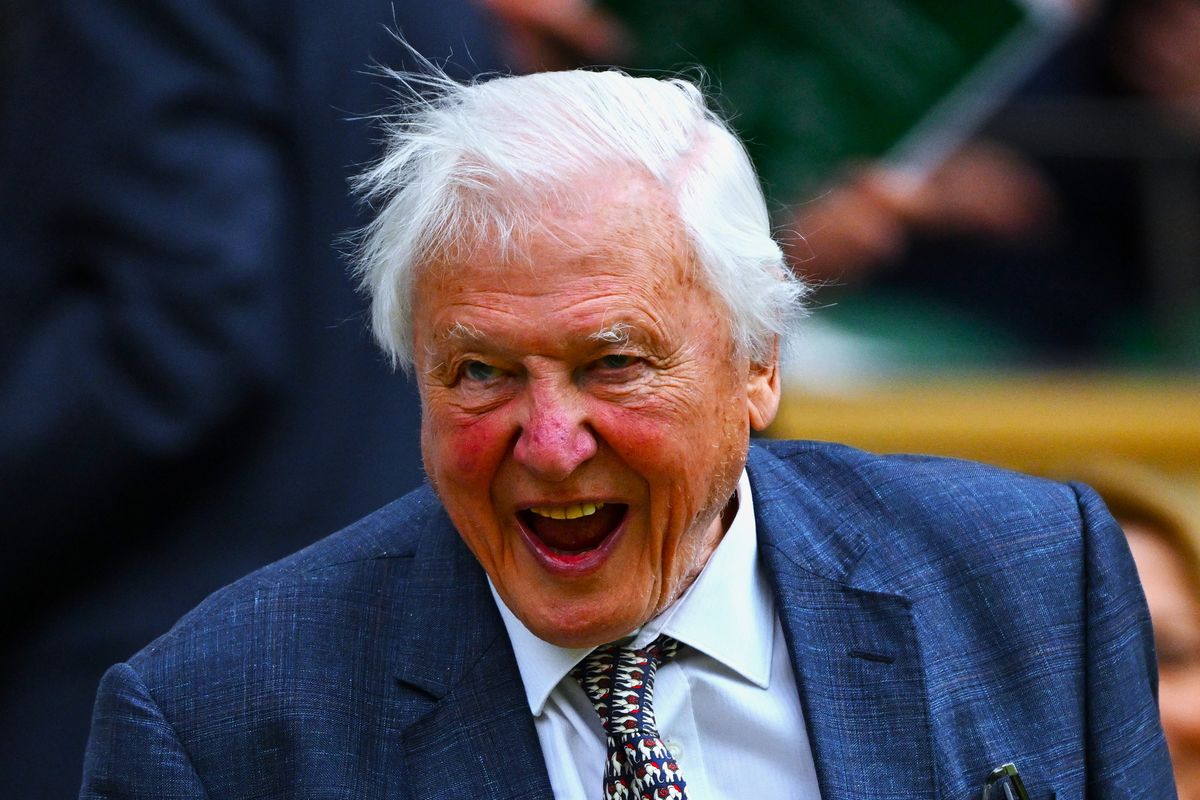 Egy híján száz: David Attenborough 99 éves – szép vagyonra tett szert a természettudománynak köszönhetően