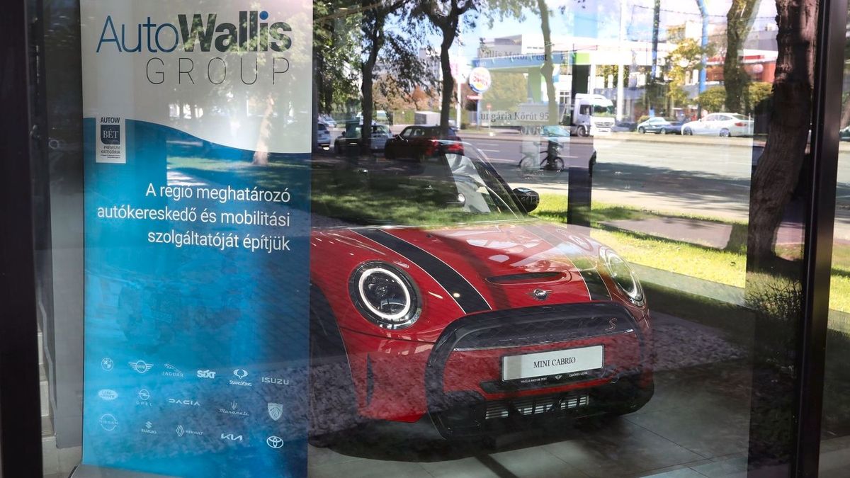 AutoWallis, járműértékesítés, Wallis_LUS_8938