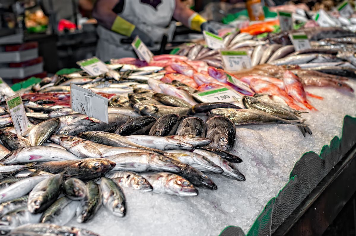 General,View,Of,A,Fish,Shop,In,A,Market