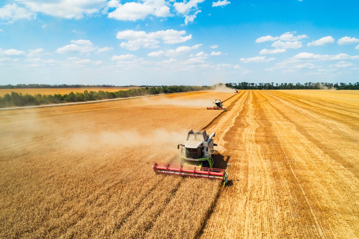 Aerial,View,Of,Combine,Harvesters,Harvesting,Wheat,In,A,Field, precíziós pályázat