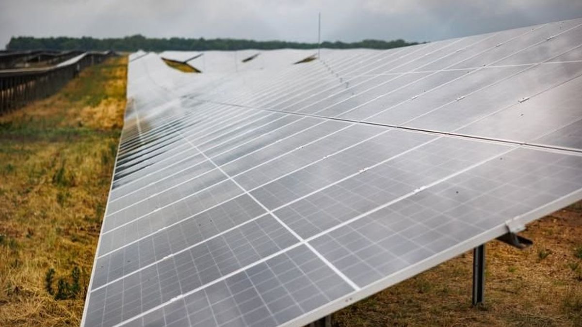 Konténerekbe zárják a napenergiát: sorra létesülnek a nagy tárolók Magyarországon