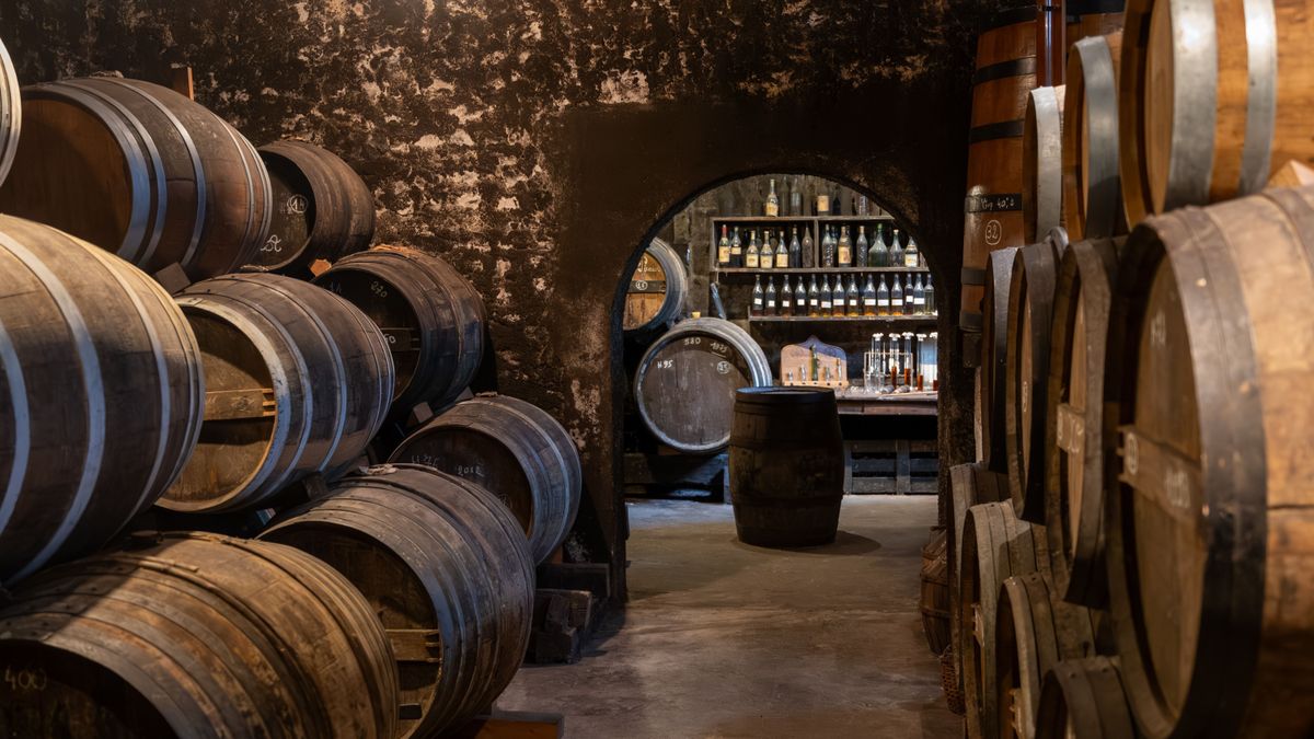 Aging,Process,Of,Cognac,Spirit,In,Old,Dark,French,Oak európai bor