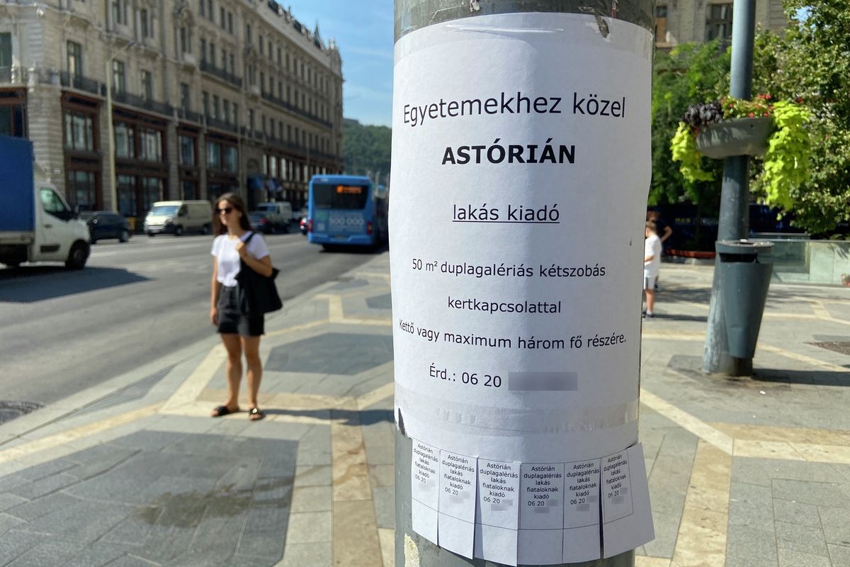 albérlet, bérleti díj, lakás, kiadó lakás, kiadó albérlet 