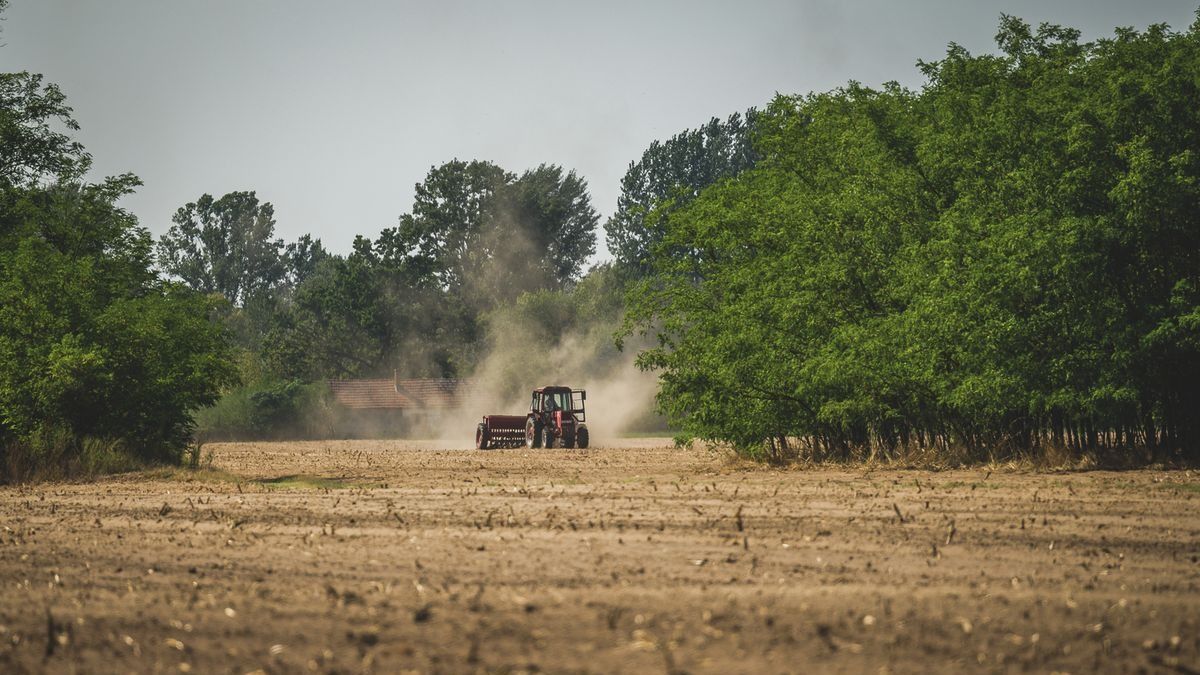 éghajlatváltozás, klímaváltozás
aszály, hőhullám, kánikula, hőség
mezőgazdaság, agrárium
gazdálkodók, termelők
tűzgyújtási tilalom