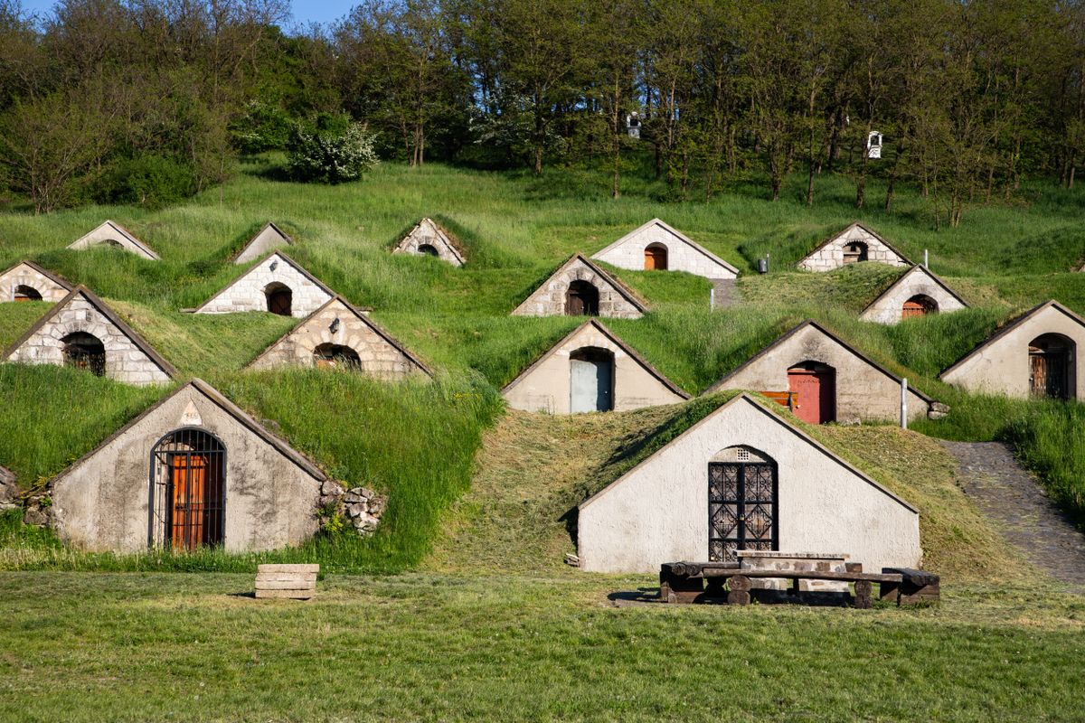 Tokaji borvidék, Wine,Cellars,In,Tokaj,Region,-,Hercegkut,Sarospatak,Hungary