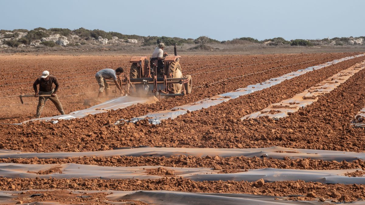 Paralimni,,Famagusta,-,July,16,2018:,People,And,Tractor,Harrowing szárazság
tűzgyújtási tilalom
