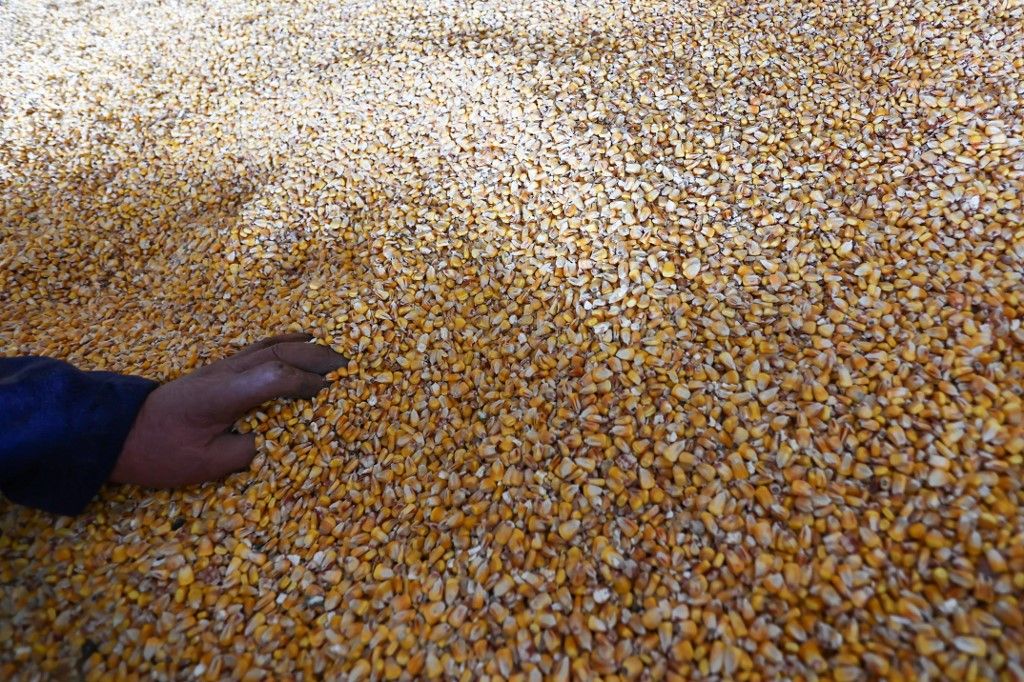 Polish farmers protest Ukraine grain imports, EU-ukrán kereskedelmi megállapodás
