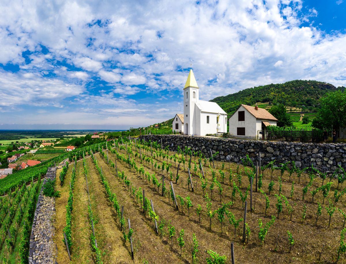 Somlo,Hungary,Vineyard,In,Wine,Region.,Panorama,Photo,Of,Church, aranyszínű sárgaság