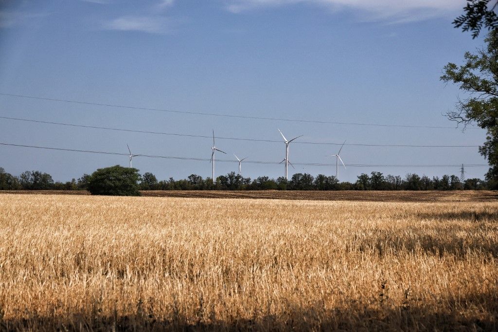 Farming in Odesa region Tanulmány: ezek az ukrán agrártermékek érkezhetnek vámmentesen az EU-ba