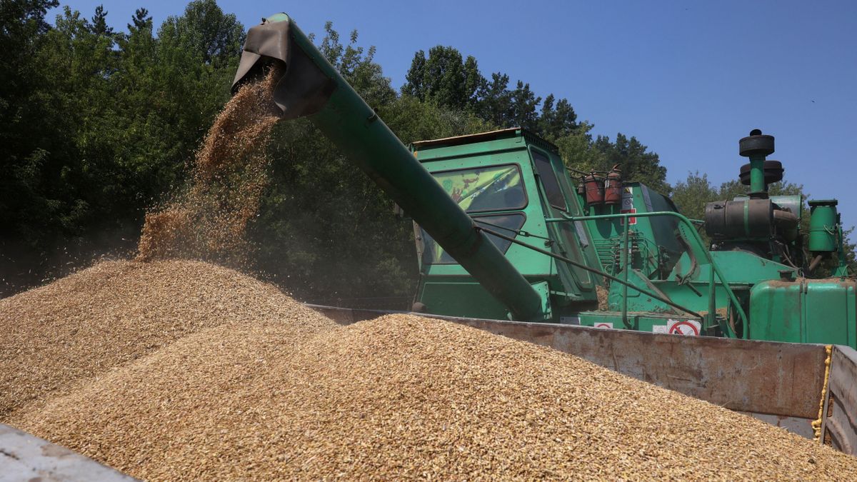  Kiderült, hogy mennyivel nőttek az uniós kvóták az ukrán agrártermékeknél 