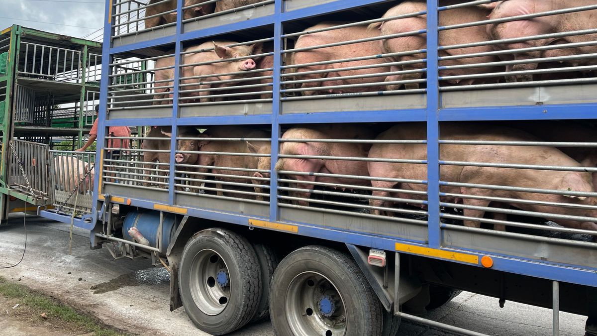 Nem jó irányba mozdult el az agrár-külkereskedelem, de még így is nagy az aktívuma 