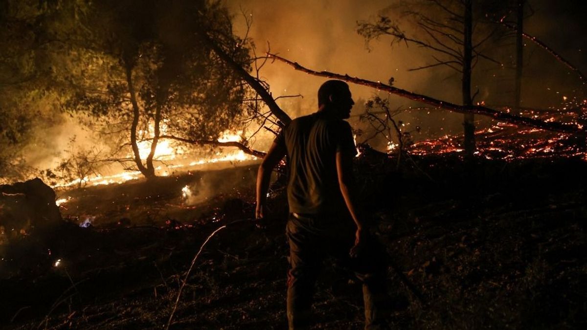 Már Évia szigete is lángokban áll Görögországban 