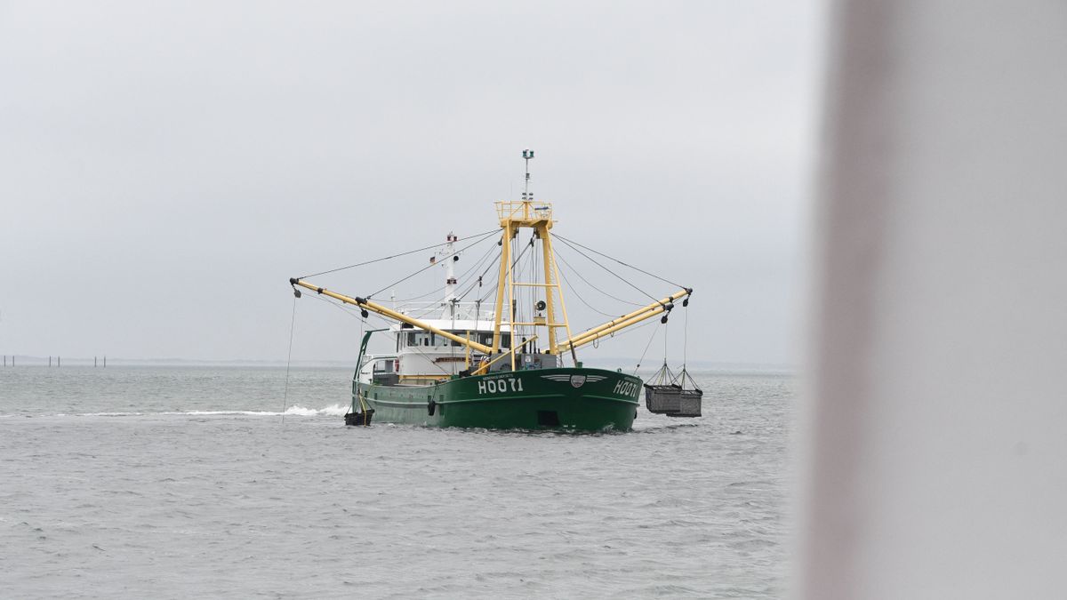 New regulations for mussel fishing in the Wadden Sea National Park halászati egyezmény