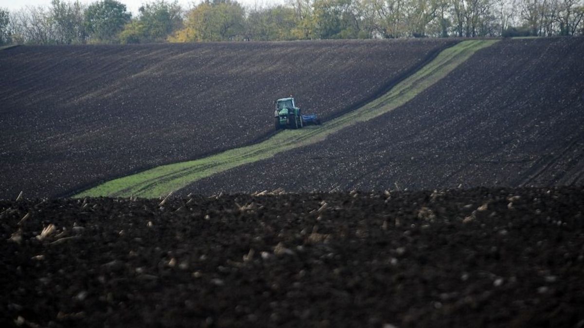 Több pénz lesz idén agrártámogatásokra – még csak most jön a dömping 