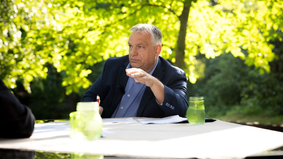 Orbán Viktor: bejelentem a Digitális Polgári Körök elindítását 