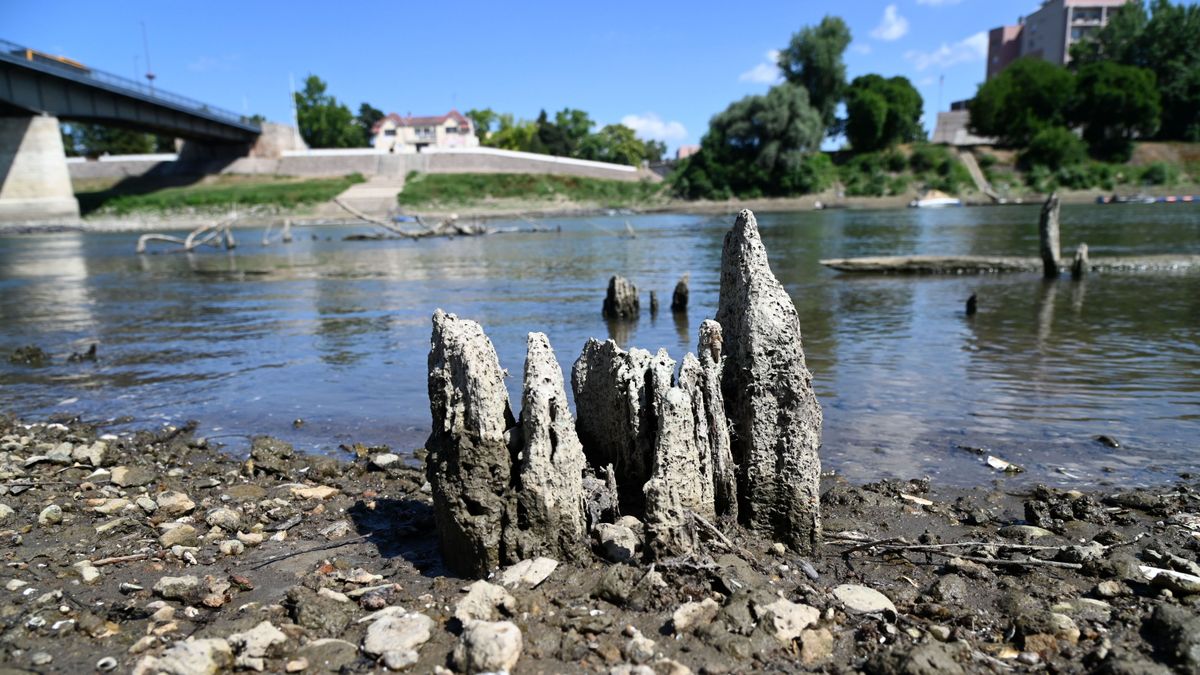 Soha nem látott szárazság a Tisza magyarországi szakaszán: az államtitkár elmondta, mi lesz az ivóvízzel – jön már a változás