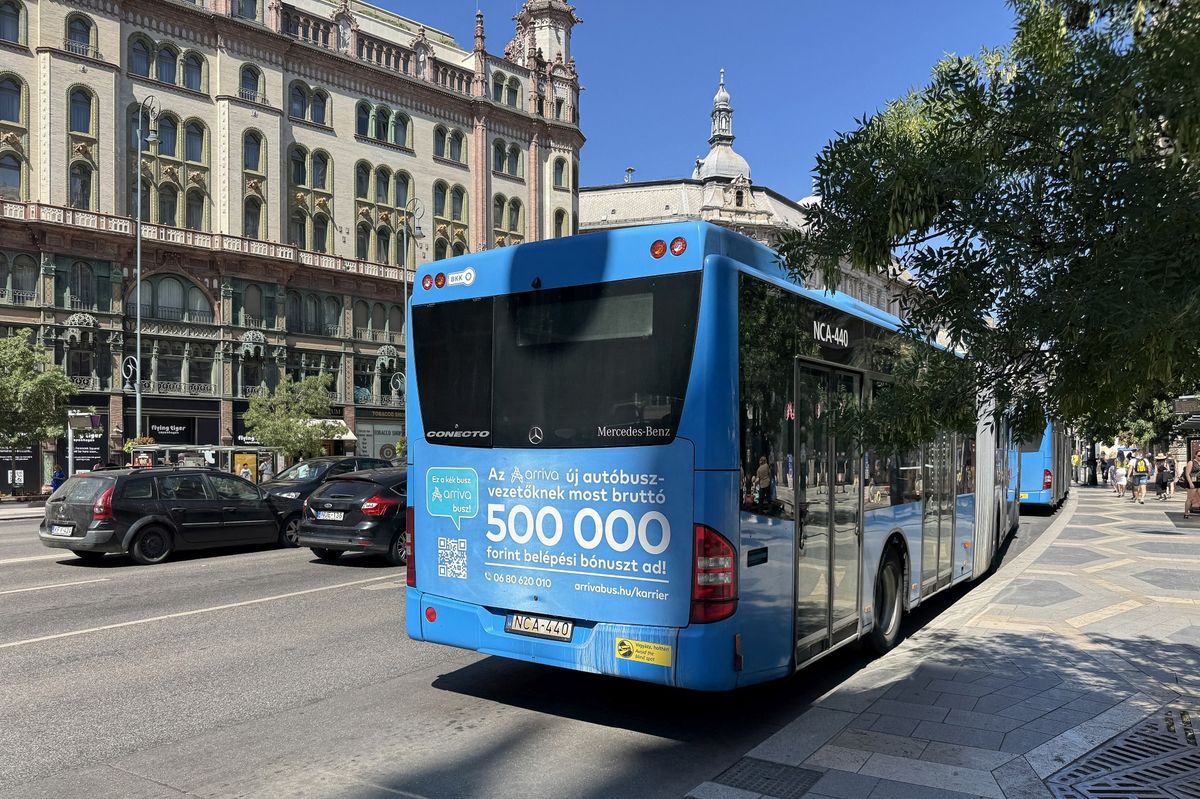 buszvezető