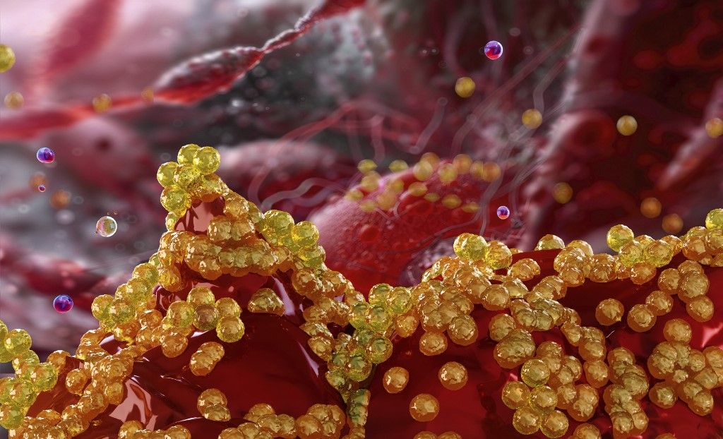 Staphylococcus bacteria, illustration