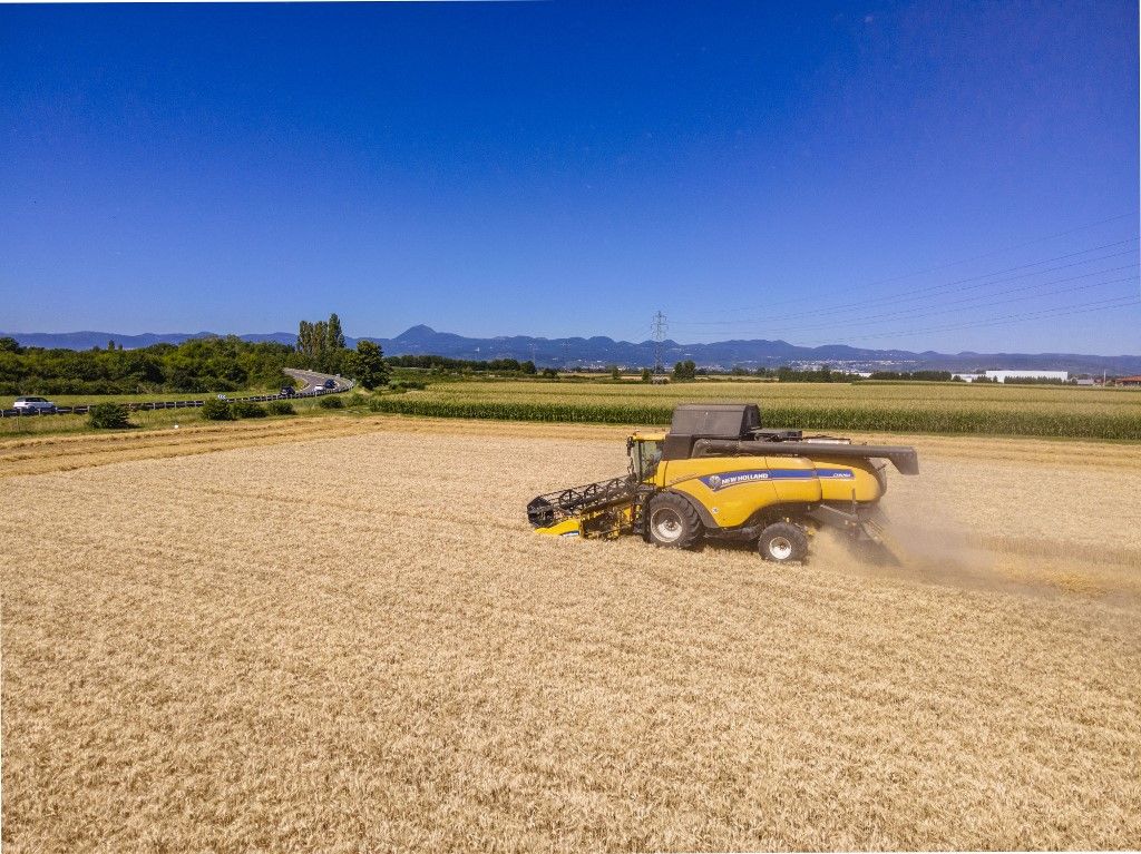 búza aratása, France puy de dome harvest limagne plain chaine des puys background aerial