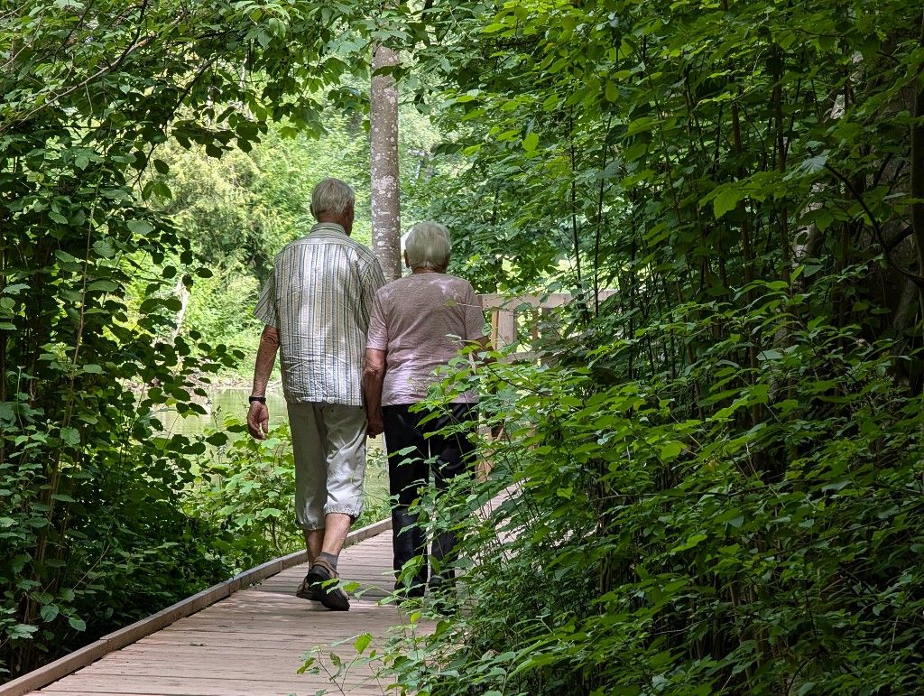 Senior Couple Walks Hand In Hand, városi erdők