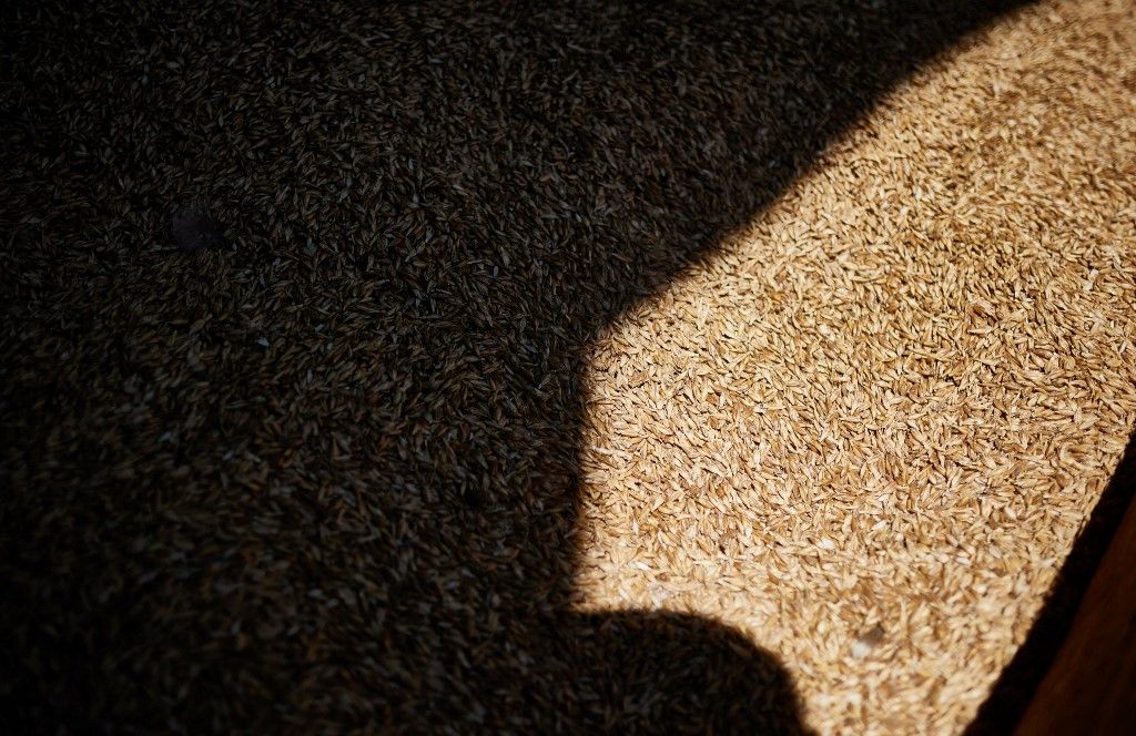 wheat storage, búzatermés minősége