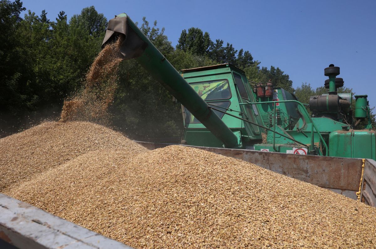  Kiderült, hogy mennyivel nőttek az uniós kvóták az ukrán agrártermékeknél kvóta